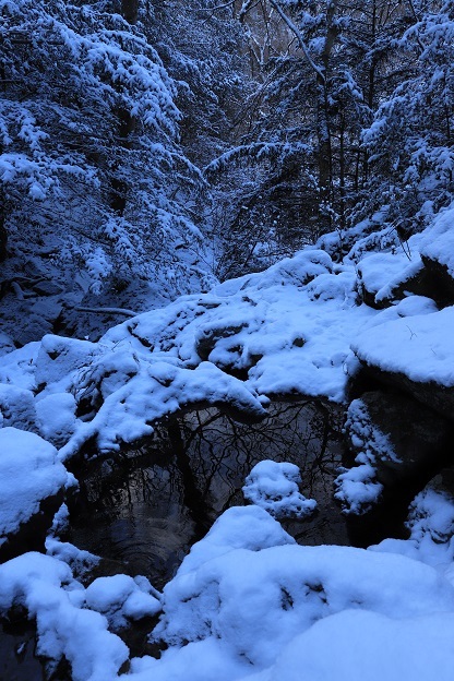 IMG_8059雪の渓