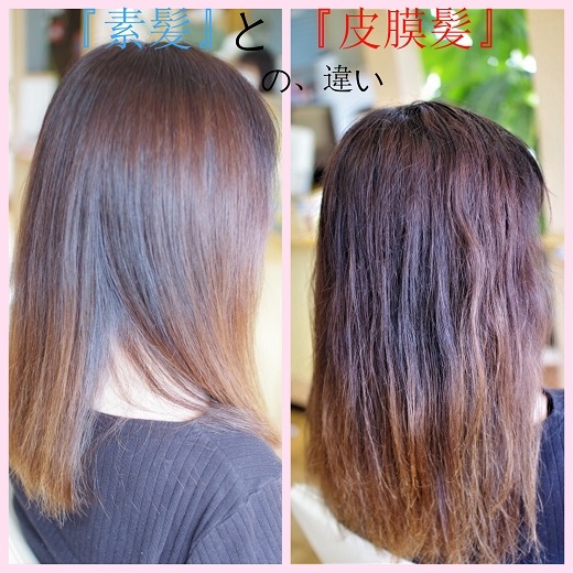 素髪と皮膜髪１ (1)