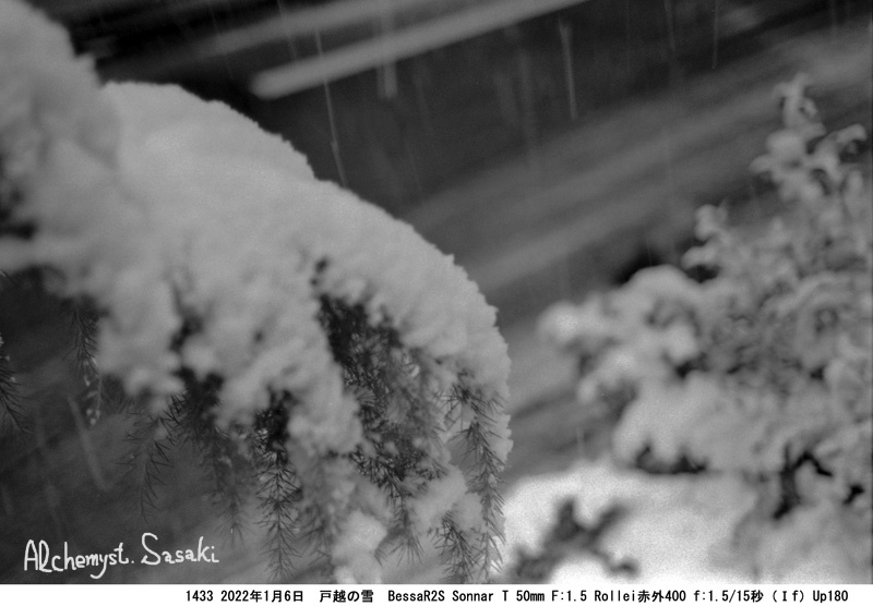 東京で雪の降った日1433-26