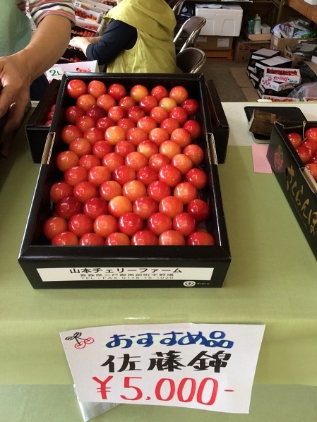 20191022韓国団体がサクランボ園など視察！青森県南部町・板柳町のりんご農家も・イチゴなど苗が盗まれ大損害