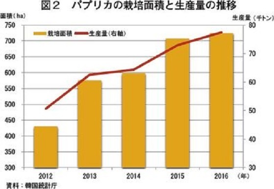 日本への輸出量は右肩上がりで増加しており（表１）、これら内外需要の好調を背景に栽培面積および生産量は着実に拡大