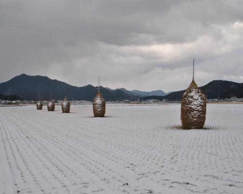 宇和盆地の雪景色
