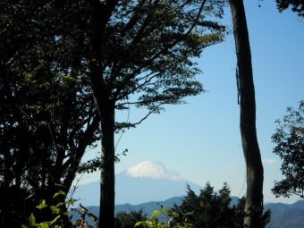 念仏山からの富士山２１１１１１