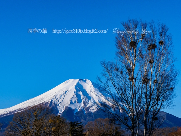 富士山　Ｋ