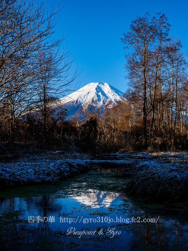 富士山　Ｌ