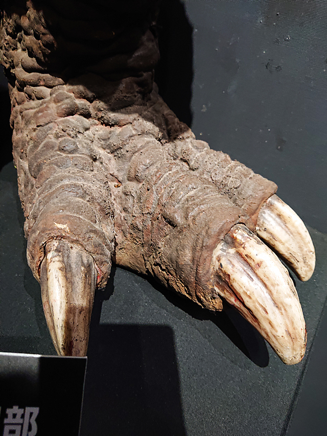 3-ゴジラザウルスの足
