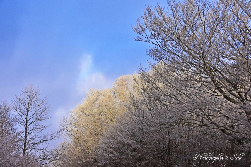 DSC_9614　朝の樹氷JT
