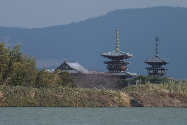 奈良　大池から薬師寺　東棟　西棟　金堂　の画像2