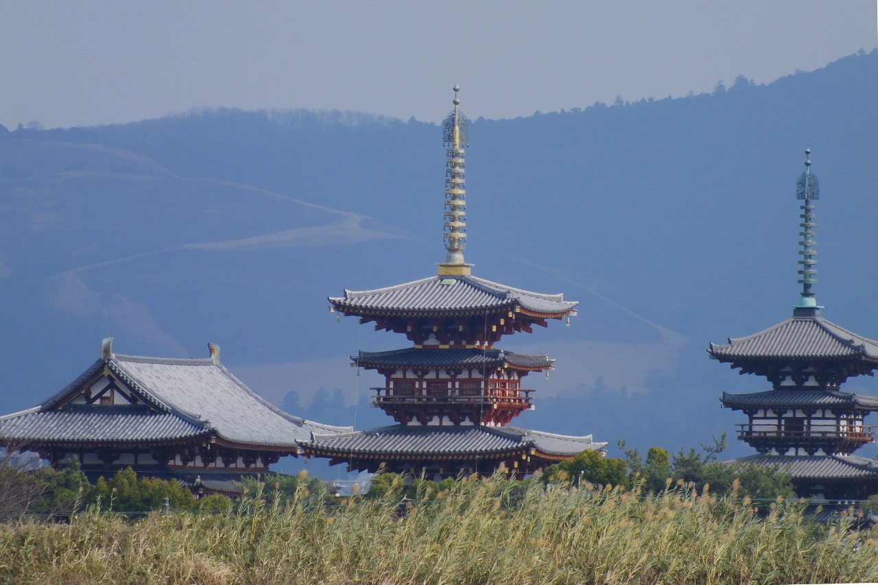 奈良　大池から薬師寺　東棟　西棟　金堂の画像1