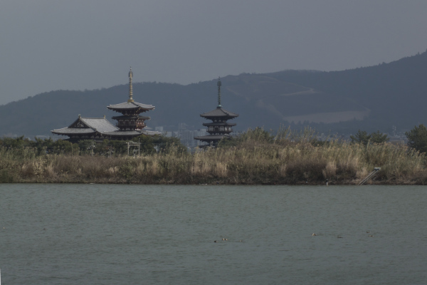 奈良　大池から薬師寺　東棟　西棟　金堂の画像3