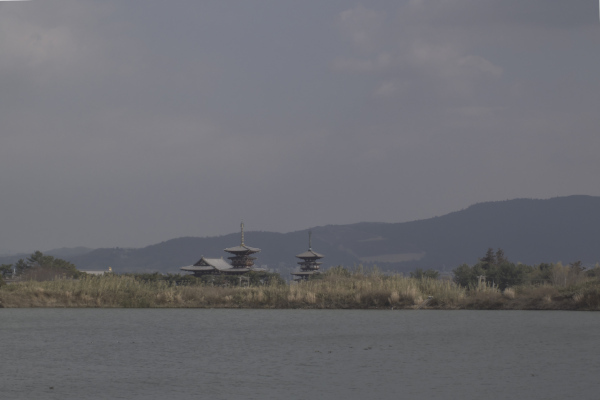 奈良　大池から薬師寺　東棟　西棟　金堂の画像4　遠景