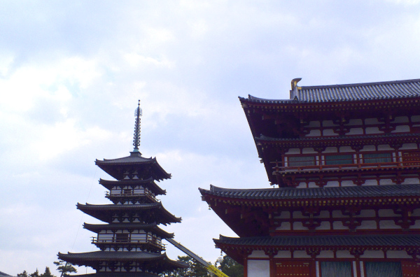 奈良　薬師寺　金堂と東塔　の画像