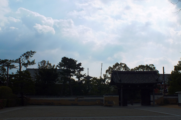 奈良　薬師寺　玄奘三蔵院伽藍から東塔の眺め1　の画像