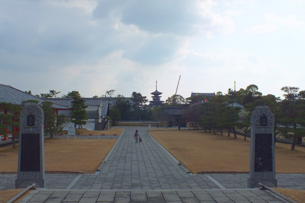 奈良　薬師寺　玄奘三蔵院伽藍から東塔の眺め2　の画像