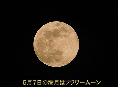 5月の満月はフラワームーン