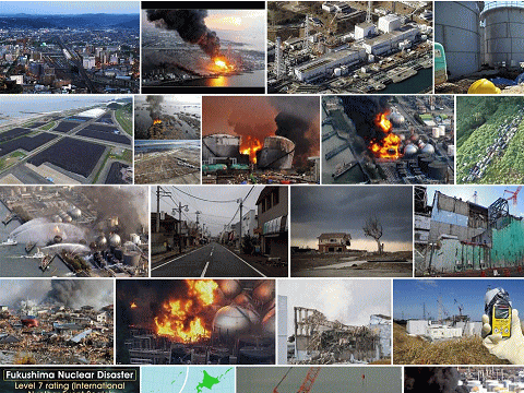 事故関係の画像が多いfukushimaの検索結果