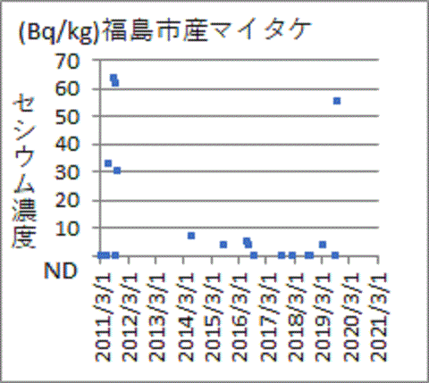 急に上昇した福島産マイタケのセシウム
