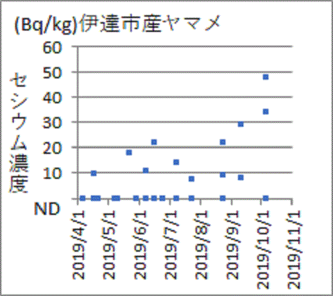 上昇する福島県伊達市産ヤマメのセシウム