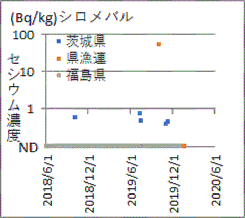 他の検査では見つかっても福島県の検査では見つからないシロメバルのセシウム
