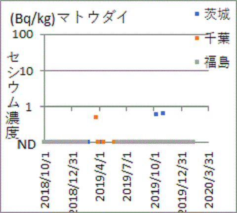 隣県ではみつかっても福島県産からは見つからないマトウダイのセシウム