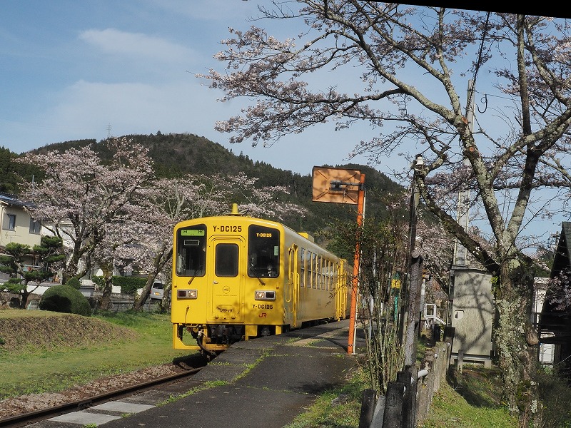 200329鉄道・桜 (16)