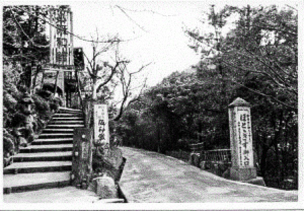 昔の「ほととぎす旅館」と「阪和館」の前の道路の写真