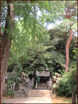 20211107　長崎神社　9　　椎名町