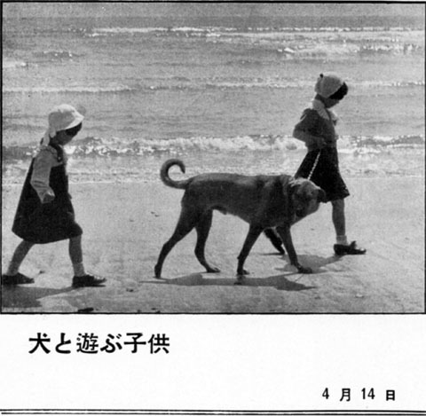 犬と遊ぶ子供1939apr
