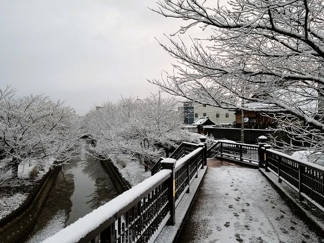 伏見雪景色2201(小）_006