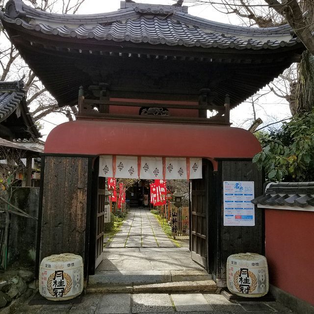 京都桜巡り３_2203(小）_001_1