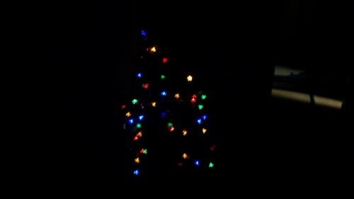 暗闇のクリスマスツリー