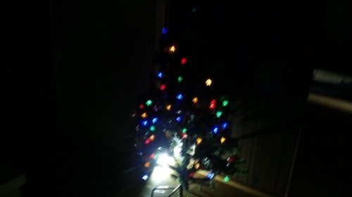 光を浴びるクリスマスツリー1