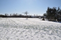 雪の麦畑