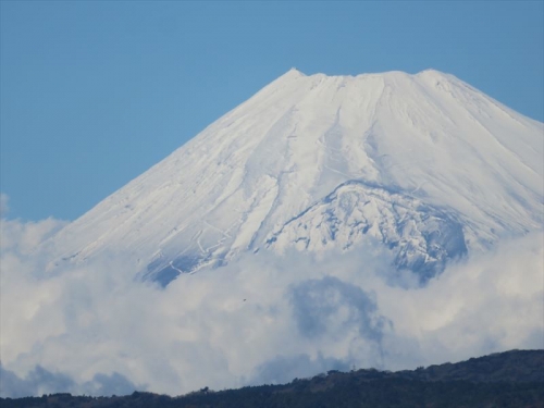 １２月１日、午前１０時半の富士さんは雪景色でした。午後は南風で下半分は溶けたようです。2021.12.01