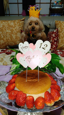 220103 １２歳お祝いケーキの日