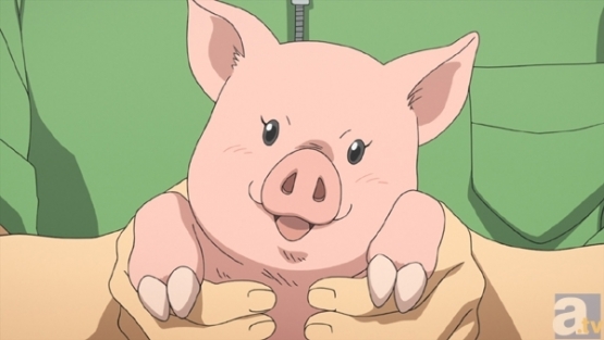【動画】女子小学生、泣きながら育てた豚ちゃんを食す?　これヴィーガンになるやつだろ・・・教育上どうなんだ？