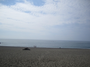 桂浜の海